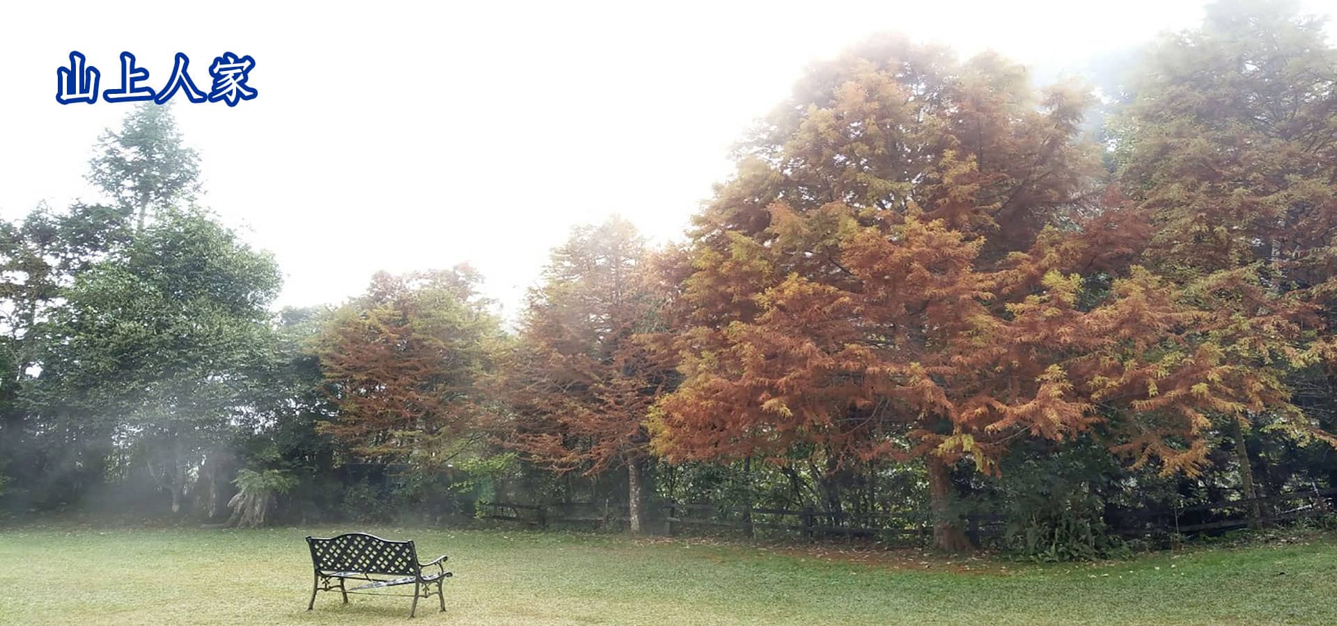 山上人家